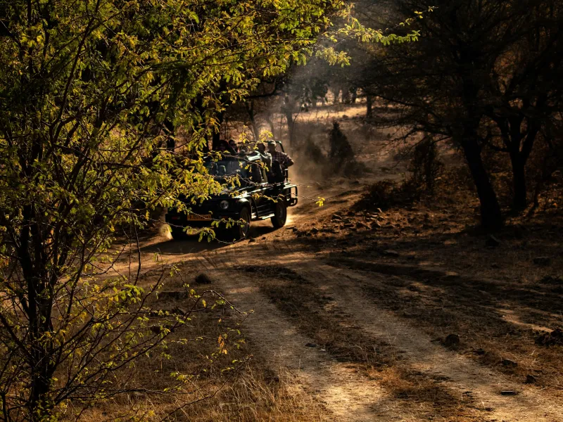 Alanya Jeep Safari: Toros Dağları'nda Macera ve Öğle Yemeği